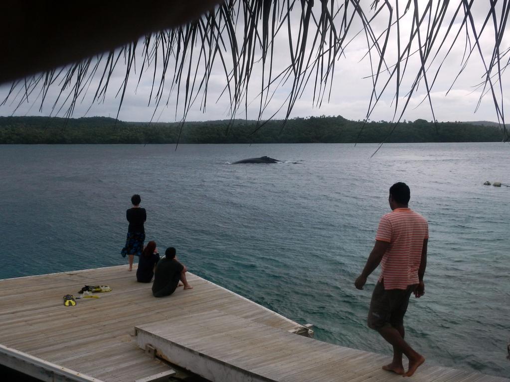 Tongan Beach Resort Utungake المظهر الخارجي الصورة